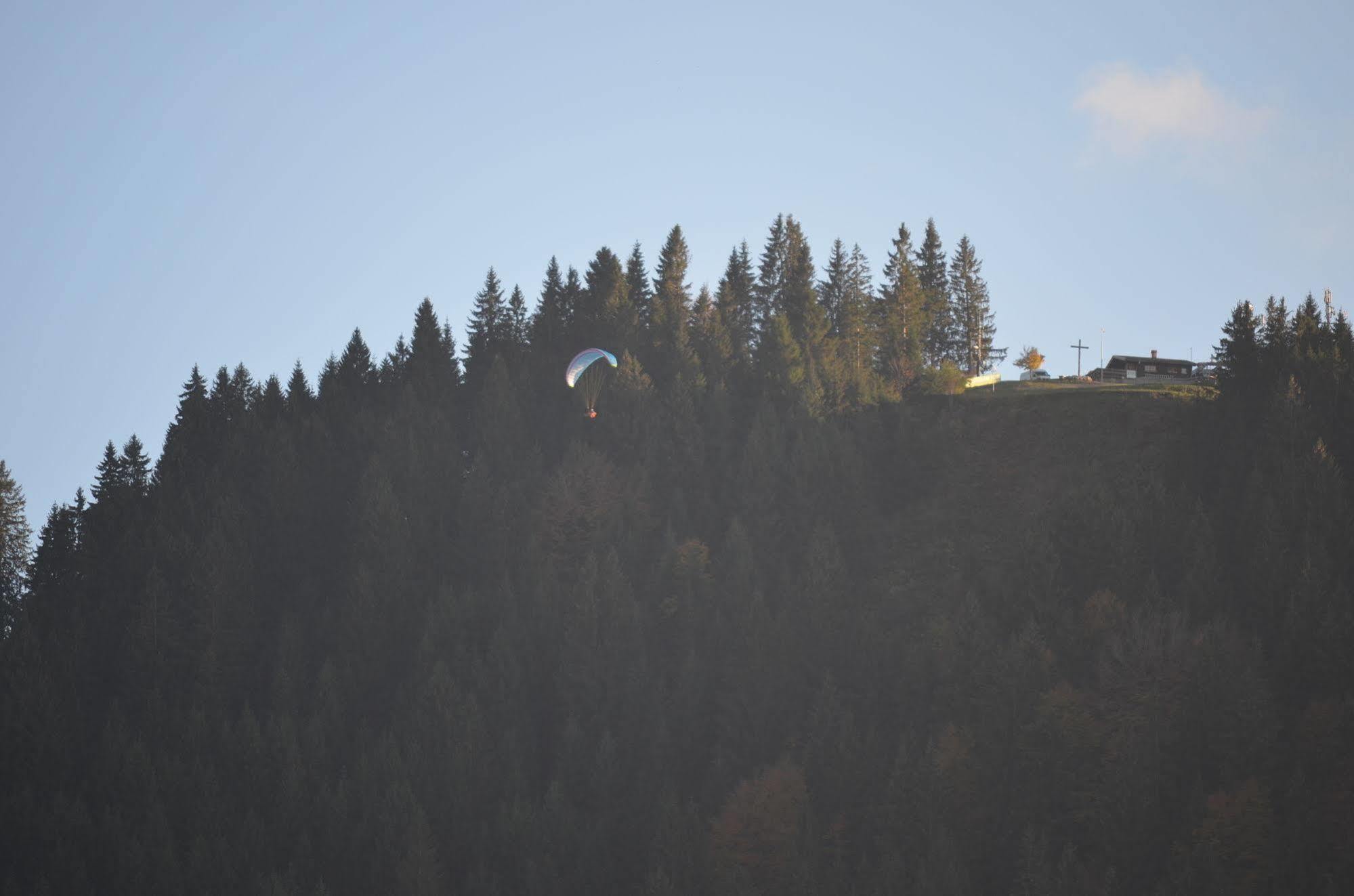 Alpchalet Schwanstein Hotel 3*